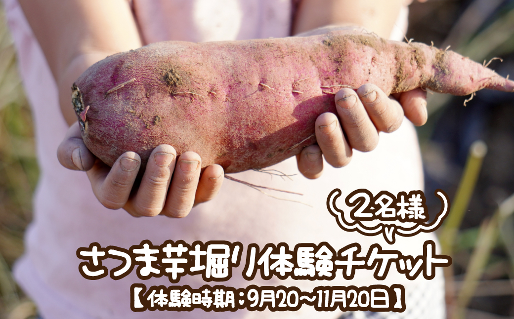 さつま芋堀り体験チケット2名様 【体験時期：9月20～11月20