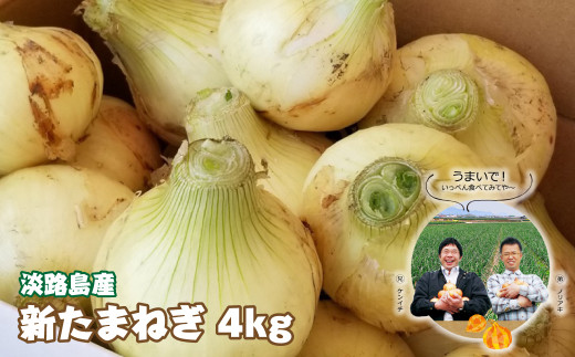 淡路島産　新たまねぎ　4ｋｇ【発送時期：2026年3月～5月頃