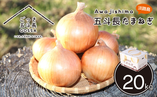 五斗長たまねぎ 20kg（20kg箱×1）　　[玉ねぎ 淡路島 玉葱]