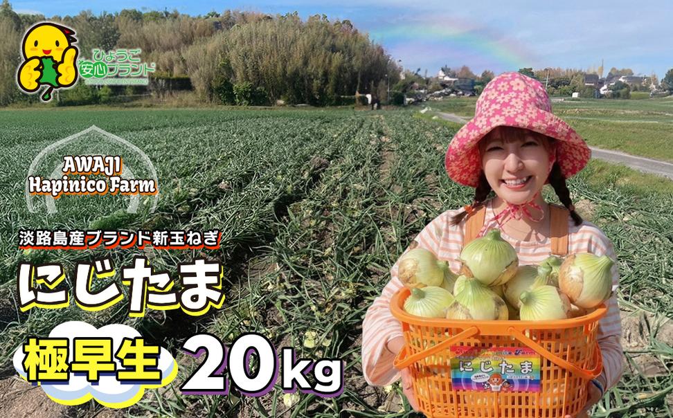 まるでフルーツ？！淡路島産ブランド新玉ねぎ 極早生 「に