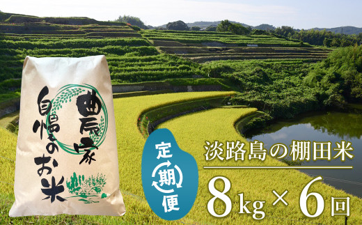 【定期便】淡路島の棚田米 ８kg×６回（毎月発送）　精米