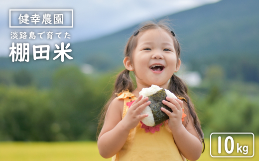 健幸農園の棚田米 10kg 【2025年産新米】　　[精米 白米 お米]