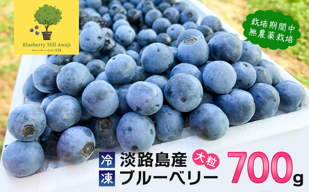 【淡路島産】大粒ブルーベリー 700g 冷凍生果《栽培期間中