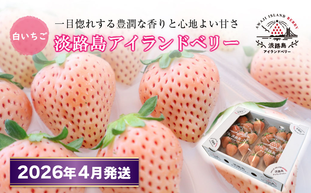 淡路島アイランドベリー 白苺淡雪【2026年4月発送予約受付