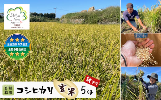 自然栽培　コシヒカリ（玄米）　5kg 《無選別品のため訳ア