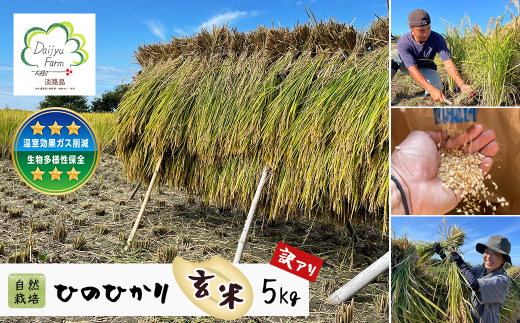 自然栽培　ひのひかり（玄米）　5kg 《無選別品のため訳ア