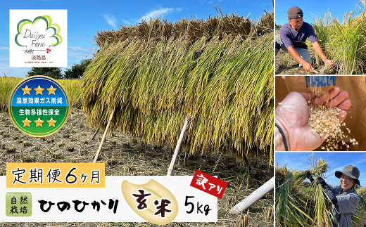 【定期便6ヶ月】自然栽培　ひのひかり（玄米）　5kg 《無選