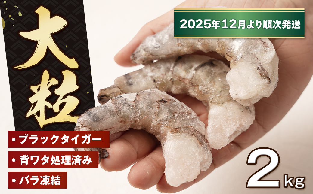 至福の大粒むきえび　背ワタ処理済 2kg（1kg×2袋）【2025年12