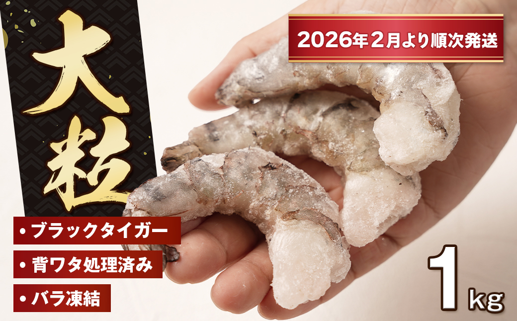 至福の大粒むきえび　背ワタ処理済 1kg【2026年2月より順次