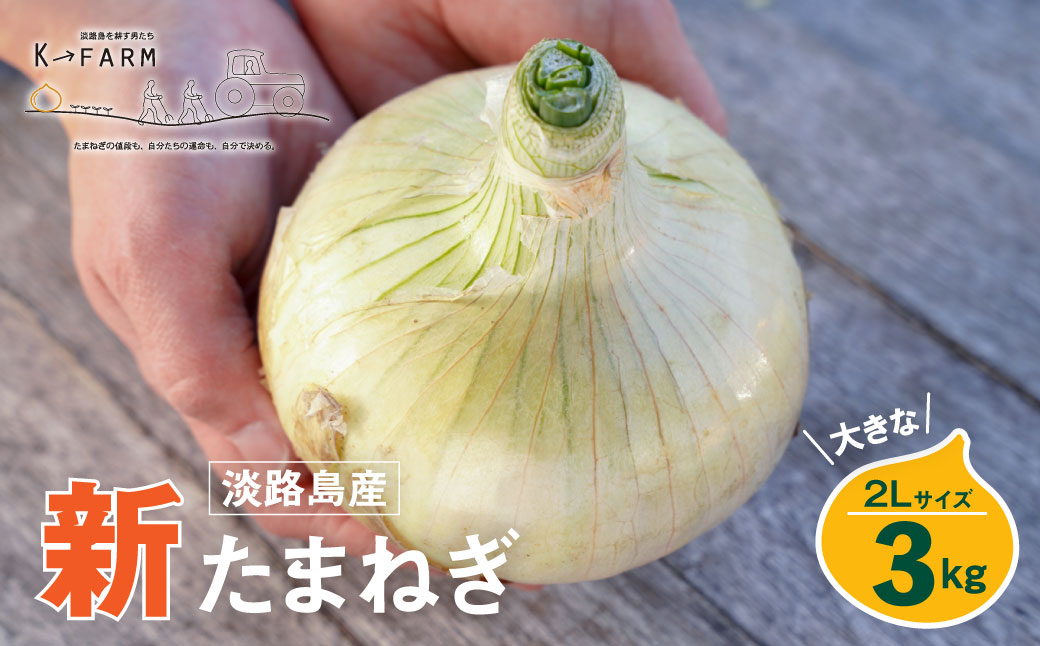 【新たまねぎ】淡路島たまねぎ 大きな2Lサイズ 3kg【発送時