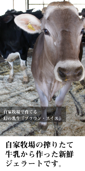 牧場 ジェラート 8種詰合せ[ アイス 低脂肪 濃厚 食べ比べ 牧場直営 ]