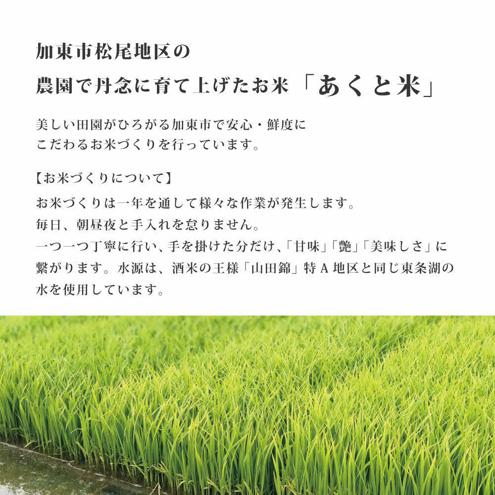 定期便 お米  令和7年産  アクト米 ヒノヒカリ 白米 5kg 3ヶ月連続お届け
