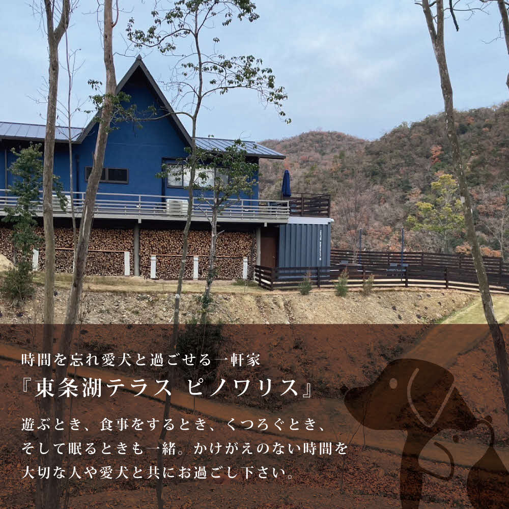 東条湖テラス ピノワリス 宿泊クーポン券 5万円分 愛犬と過ごせる一軒家　宿泊 旅行 クーポン ドッグラン 愛犬 犬 東条湖 加東市