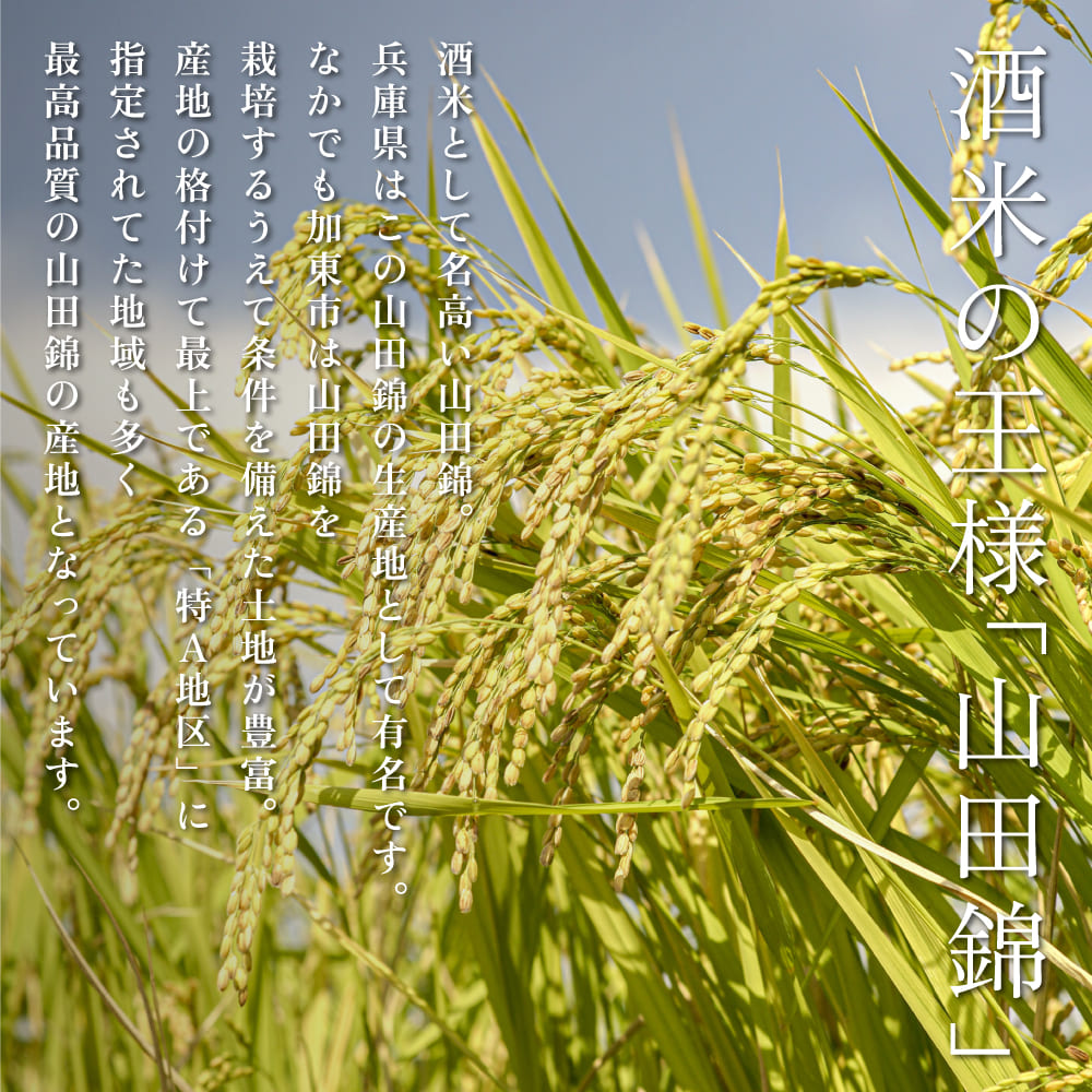 玉川 自然仕込 純米大吟醸 玉龍 (山廃)720ml 木下酒造 加東市特A地区産 山田錦使用 化粧箱入[ 日本酒 酒 お酒 四合瓶 贈答品  ]