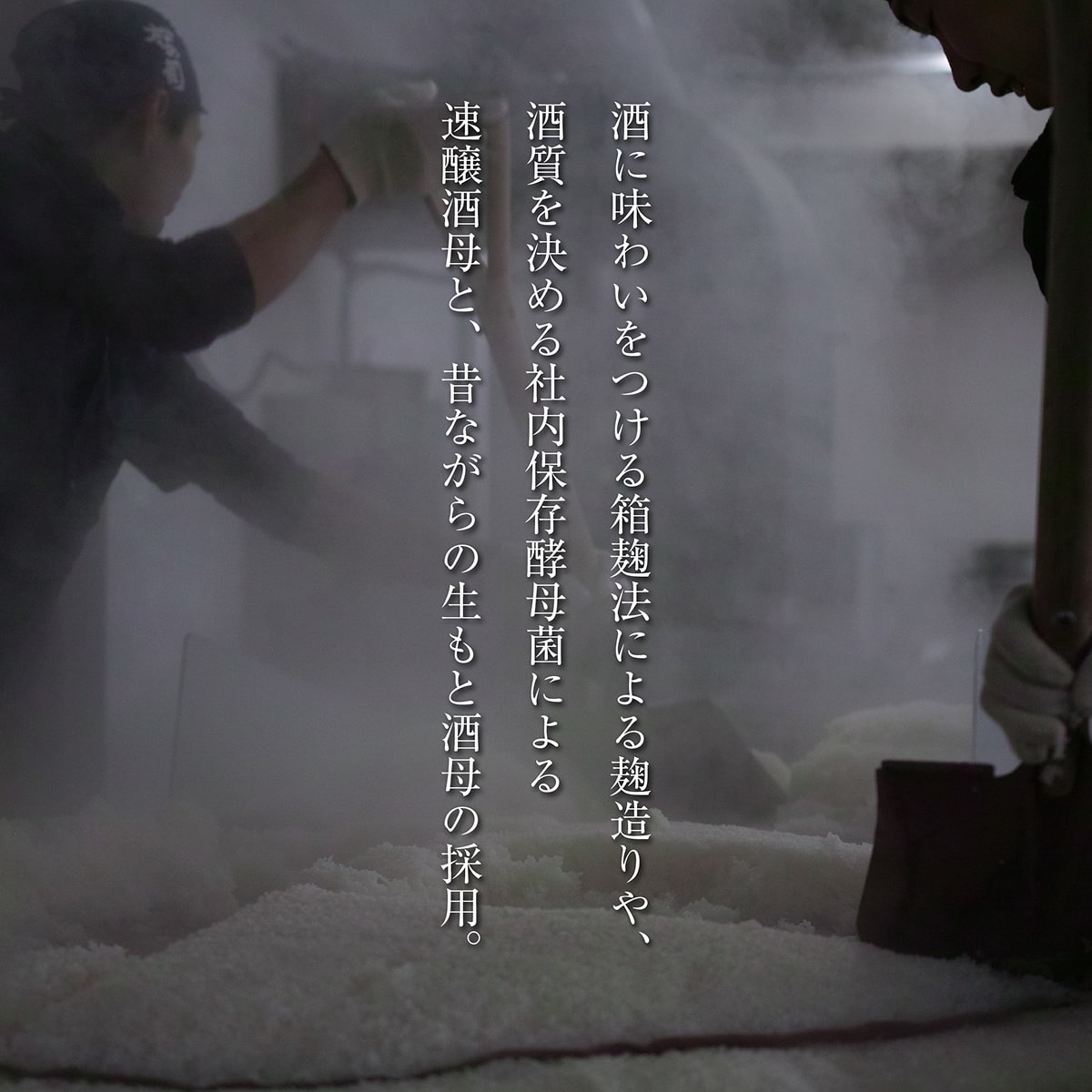 松の司 純米大吟醸 黒 720ml 松瀬酒造 加東市産山田錦使用 化粧箱入[ フロンティア東条 日本酒 お酒 酒 四合瓶 贈答品  ]