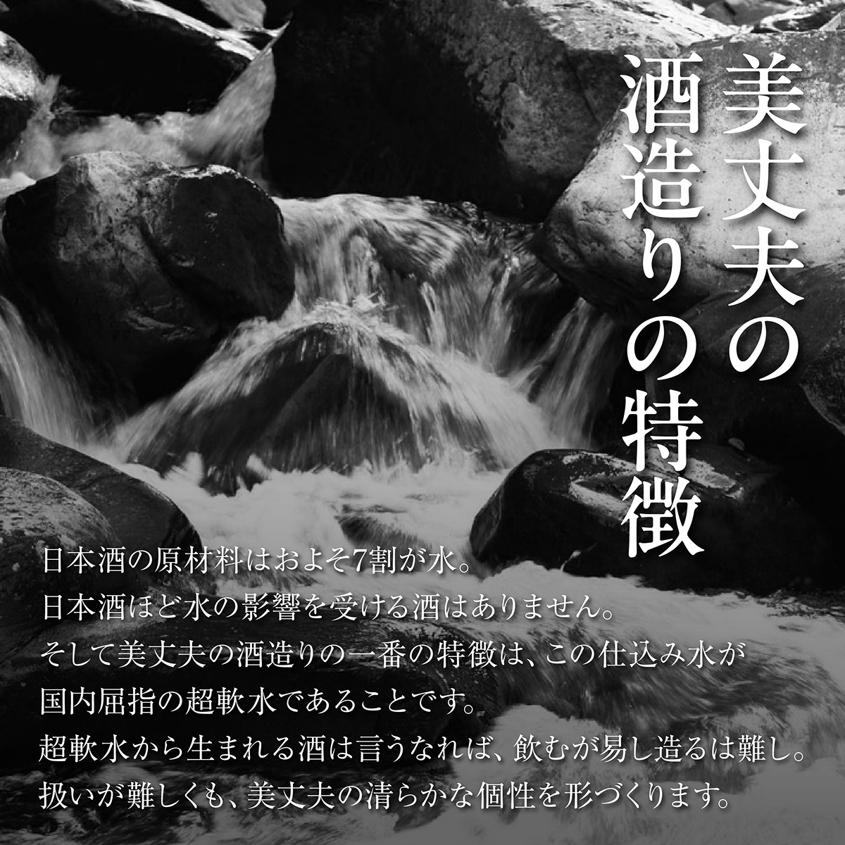 美丈夫 大吟醸 薫 720ml×2本 加東市特A地区 東条産山田錦使用 化粧箱入[ フロンティア東条 濱川商店 日本酒 酒 お酒 四合瓶 贈答品 ]