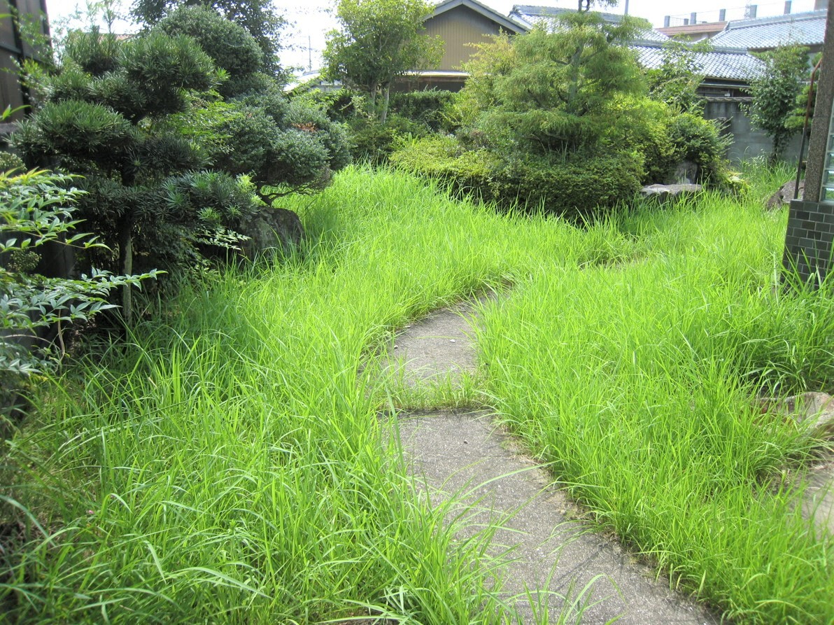 便利屋PAL 利用券 15,000円分[ 草刈り 木伐採 空き家管理 お墓清掃 引越し手伝い ]