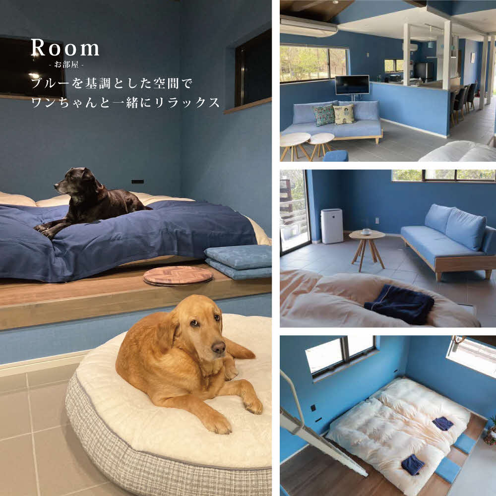 東条湖テラス ピノワリス 宿泊クーポン券 3万円分 愛犬と過ごせる一軒家　宿泊 旅行 クーポン ドッグラン 愛犬 犬 東条湖 加東市