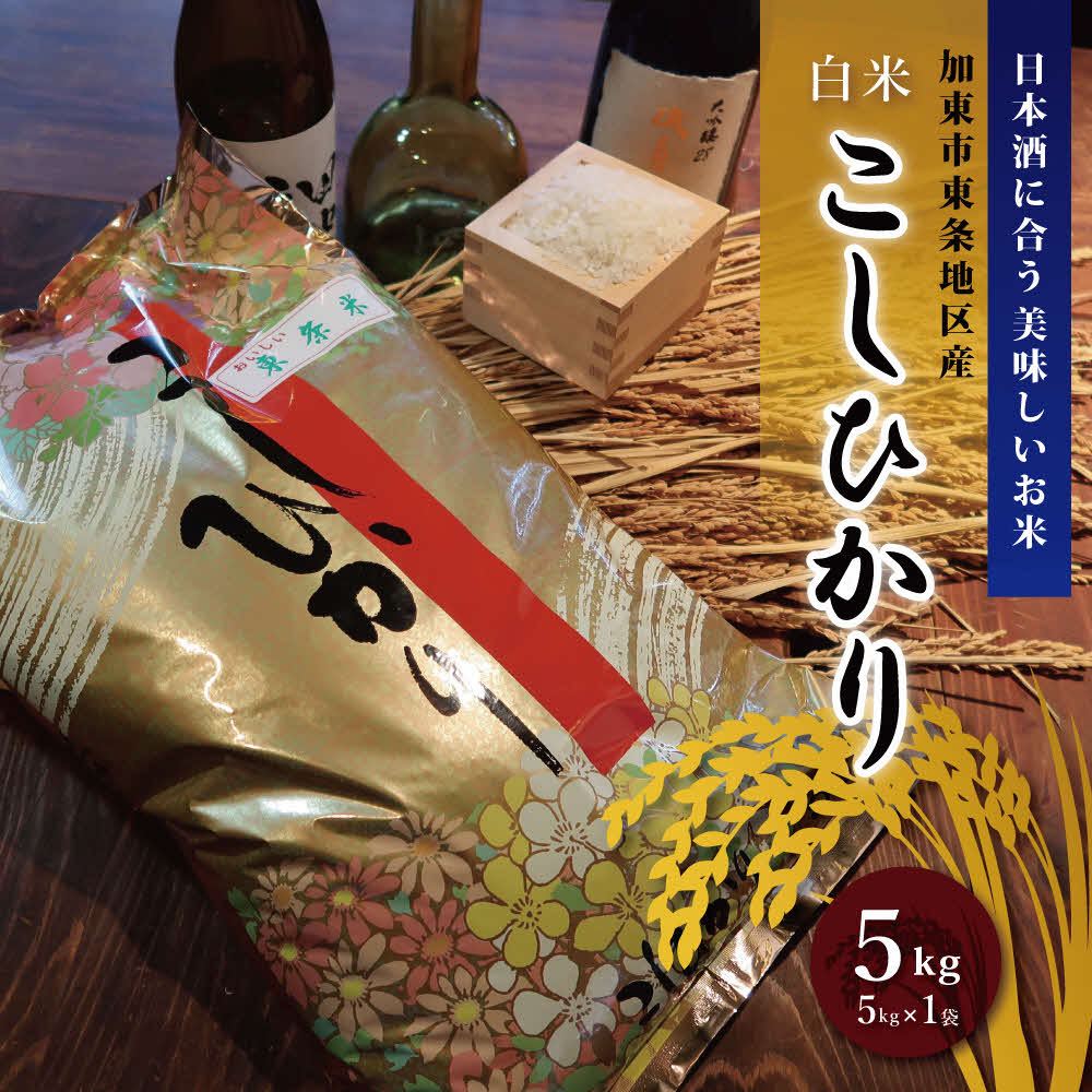 お米 令和7年産 日本酒に合う コシヒカリ 白米 5kg [ 米 こめ コメ 精米 ]