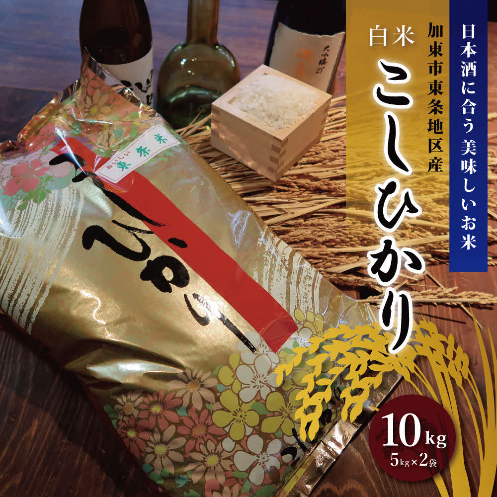 お米 令和7年産 日本酒に合う コシヒカリ 白米 10kg (5kg×2)[ 米 こめ コメ 精米 ]