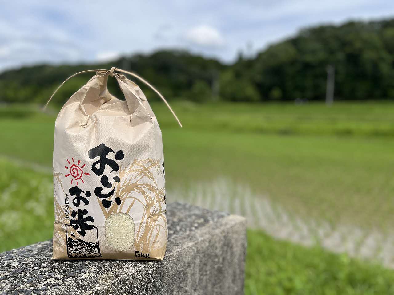 米 令和7年産 加東市東条地区産 ヒノヒカリ 白米 10kg（5kg×2） [ 新米 お米 こめ コメ ]