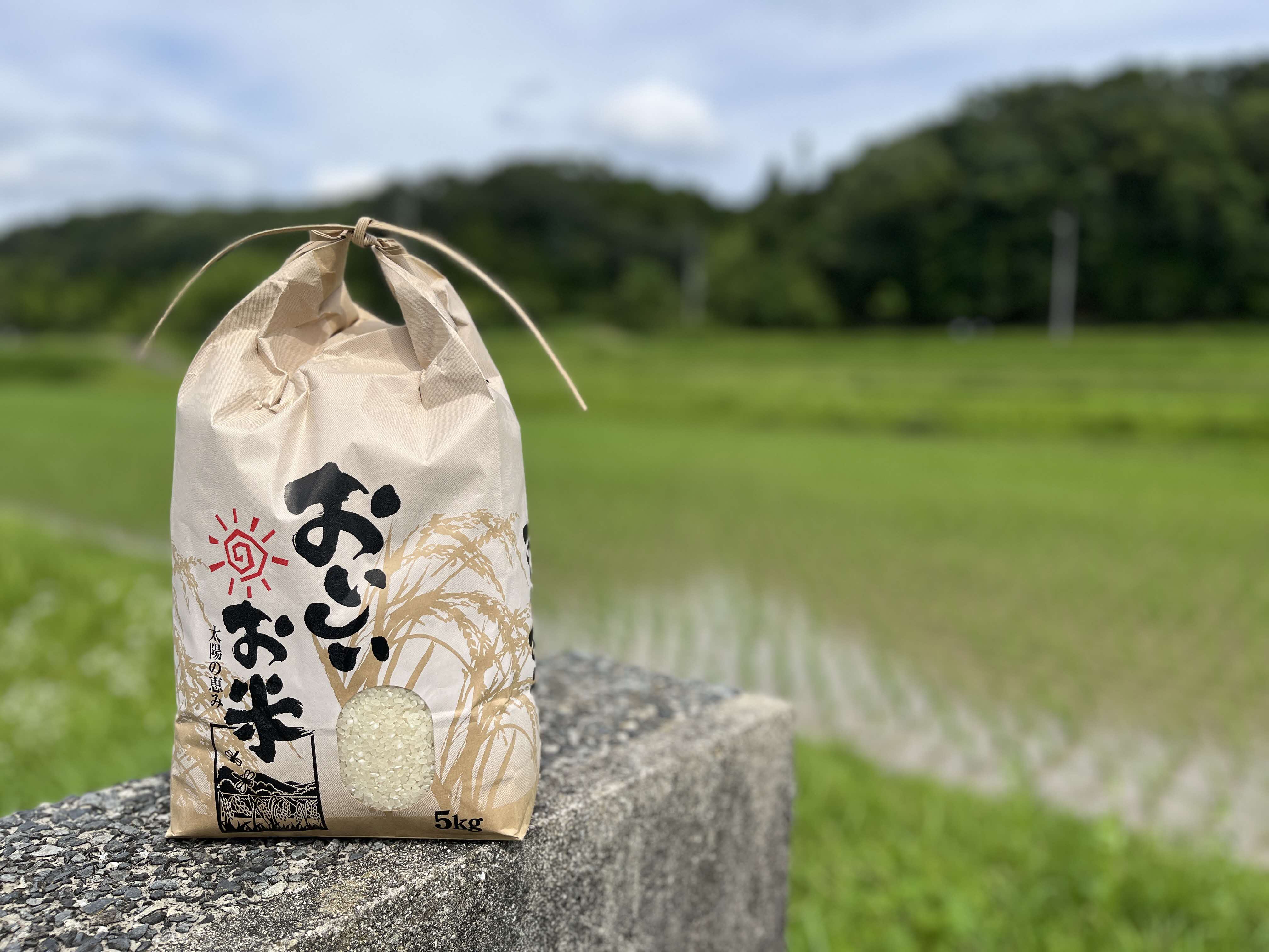 米 令和7年産 加東市東条地区産 キヌヒカリ 白米 5kg [ お米 こめ コメ きぬひかり 兵庫県産 ごはん 精米 ]