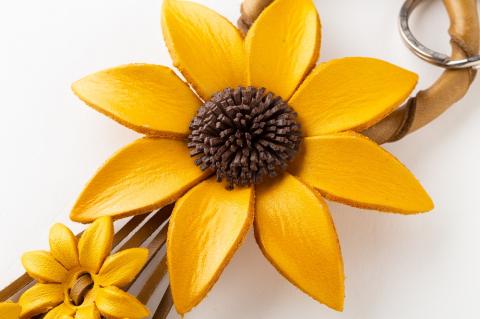 H-191　サイネリアチャーム　オレンジ