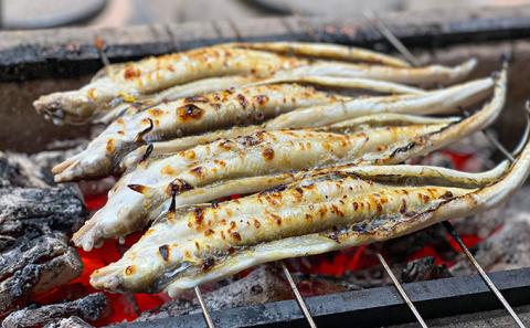 J-25 【紀州備長炭による手焼き】100年前に途絶えた味を復活させた伝説の「国産・焼き穴子(5本入り)」