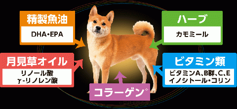 H-208　日本犬 柴専用 成犬用　チキン味 6kg