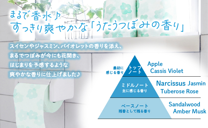 H-163 【うたうつぼみの香り】hanauta ダブル25m 12ロール×8パック