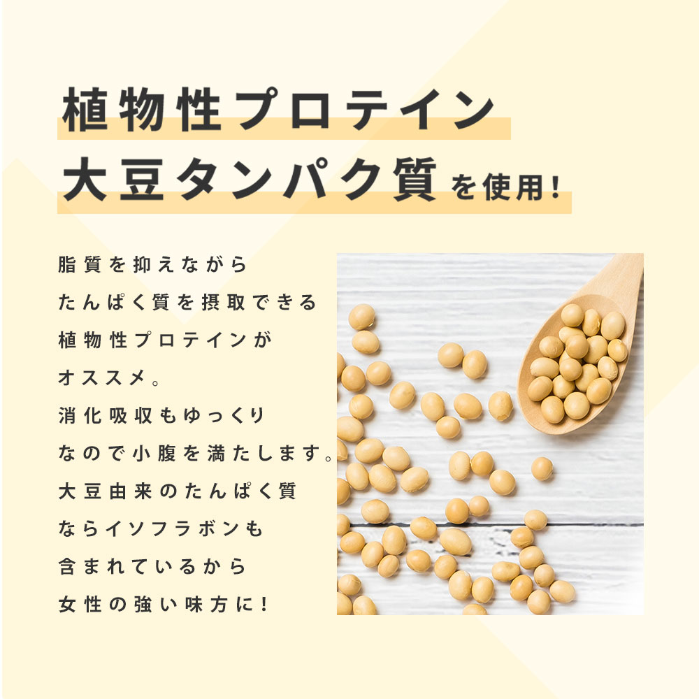 G-120　プロテインDIET贅沢ショコラ風味 300g×2個セット