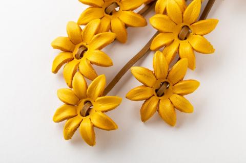 H-191　サイネリアチャーム　グリーン