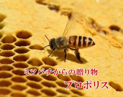 E-23　[ファイン]プロポリス ２個セット