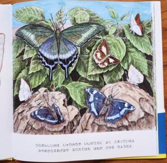 H-206　絵本「にらめっこしましょ　むっしっし」　直筆サイン入り２冊セット