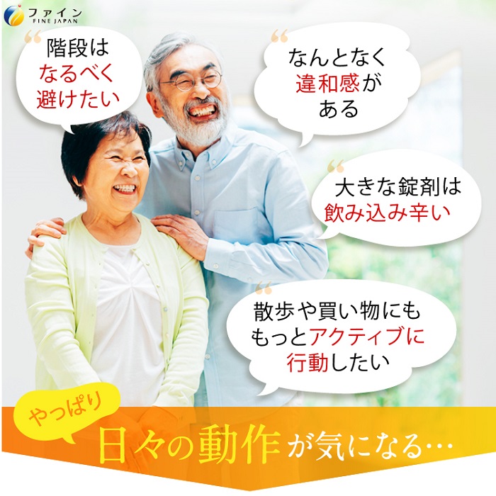 F-30　[ファイン]ふしぶしの恵 ２個セット