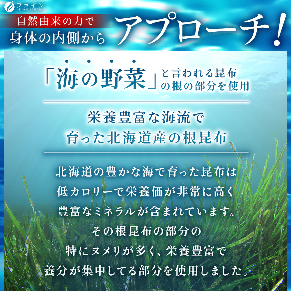 F-32　[ファイン]根昆布エキス粒 ２個セット