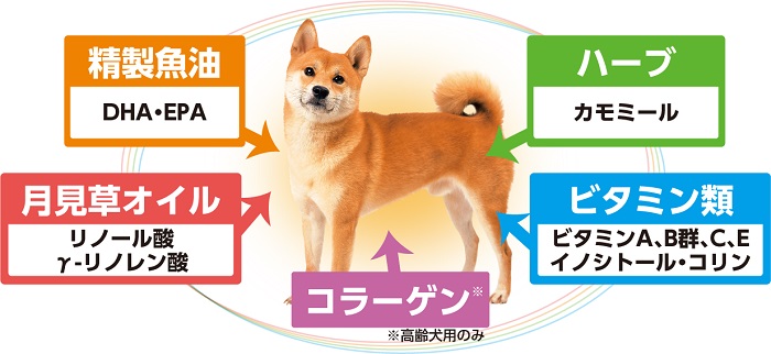 H-237　【ドッグフード】日本犬 柴専用 成犬用 フィッシュ味 ６kg