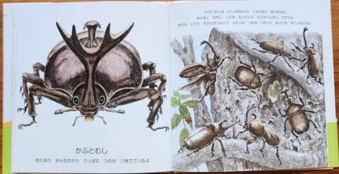 H-206　絵本「にらめっこしましょ　むっしっし」　直筆サイン入り２冊セット