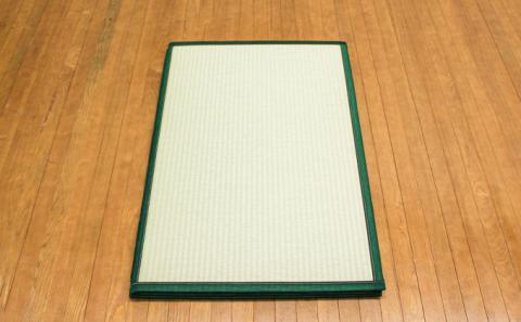 F-47  【畳】軽量・薄型！三つ折り畳「ねころん」