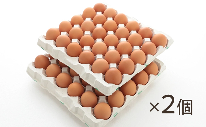 C-3 【12か月定期便】お届け日時の指定可能「夢そだち120個」厳選飼料を食べて育った自社養鶏場の新鮮卵を♪