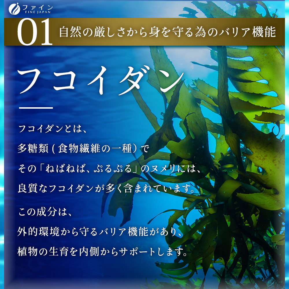 F-32　[ファイン]根昆布エキス粒 ２個セット