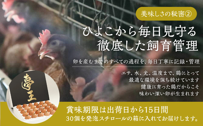 H-159【TVで話題】日本一に選ばれた高級卵「夢王(30個）」たまごかけごはん祭り3年連続グランプリ受賞！