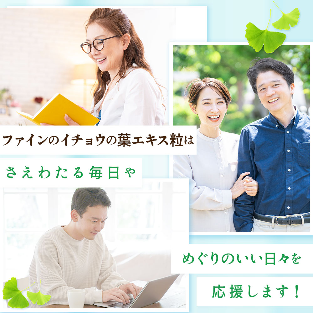 H-204　イチョウ葉エキスPrime×3個セット