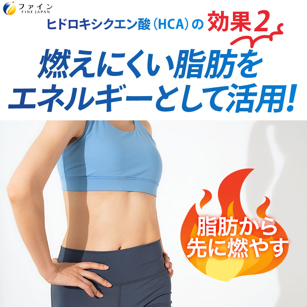 H-227　【機能性表示食品】イオンドリンク燃焼プラス×２個セット