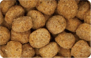 H-237　【ドッグフード】日本犬 柴専用 成犬用 フィッシュ味 ６kg