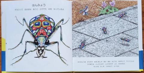 H-206　絵本「にらめっこしましょ　むっしっし」　直筆サイン入り２冊セット