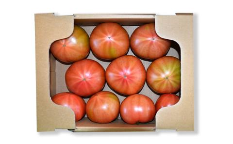 H-14  【昭和初期から受け継ぐ伝統栽培】酸味と甘みのバランスがよい「揖保川トマト」2kg【発送時期：12月～６月】