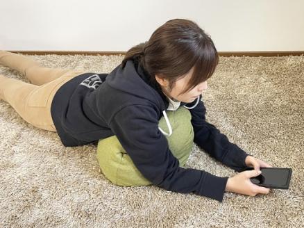 H-121　小　ざえもん（茶）