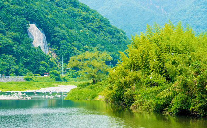 H-123　全国有数のめん処「播州龍野」の製麺所自慢の『宿祢中華そば』