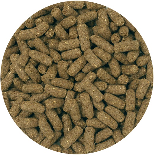 H-235　【ラビットフード】動物村　ラビットフードチモシー　4.0kg×２袋